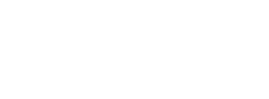 Visit SI company logo in white